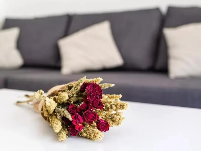 Winahost Apartment Sa Riera, Begur Isla Roja
